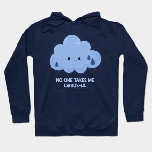 Absolutely No One Hoodie